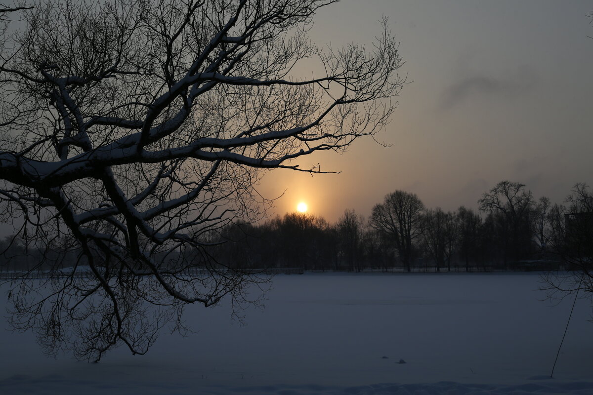 Закат солнца - Танзиля Завьялова Закат солнца - Танзиля Завьялова