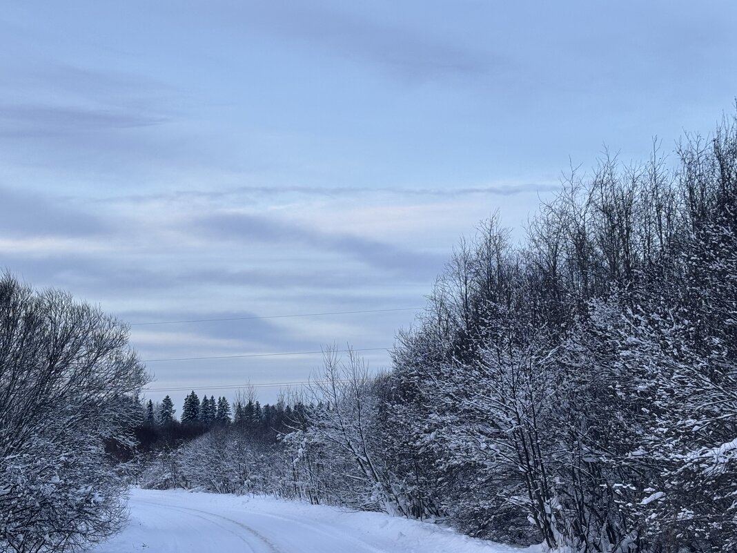 Зимний день - Ольга Савельева Зимний день - Ольга Савельева