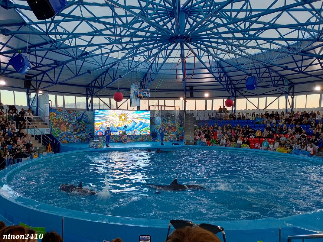 Адлер. Сочи Парк... шоу дельфинов - Нина Бутко