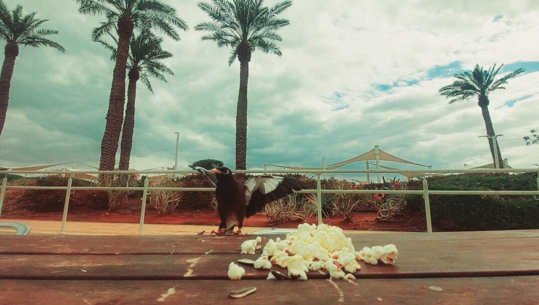 13  ОПЕН (812) - OPEN WAYS ALL