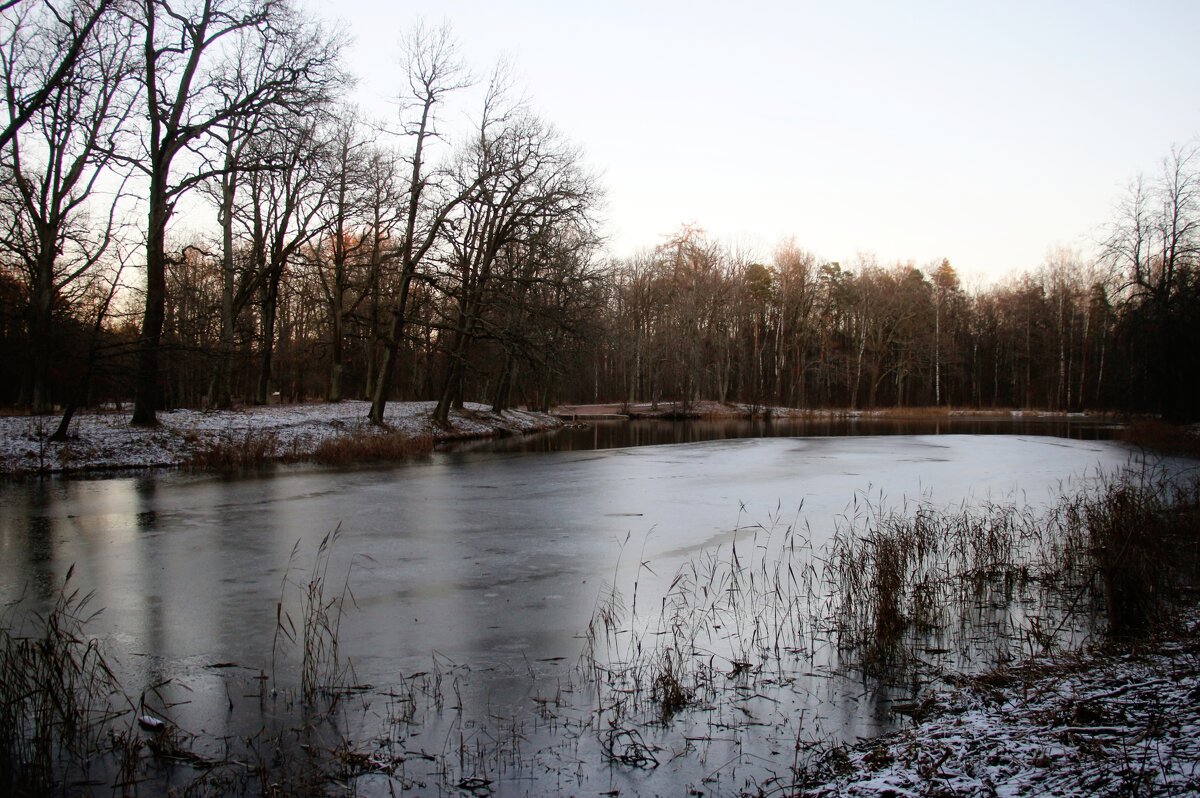 Парк Александрия - Наталья Герасимова