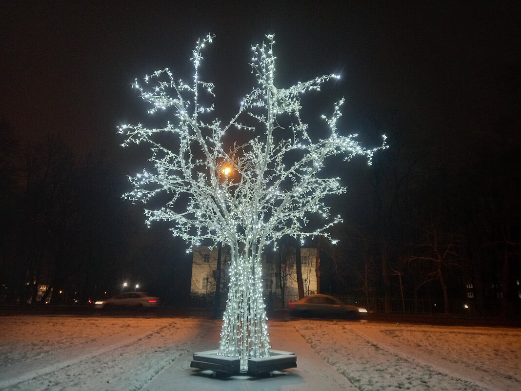 Светящееся дерево - Сапсан 