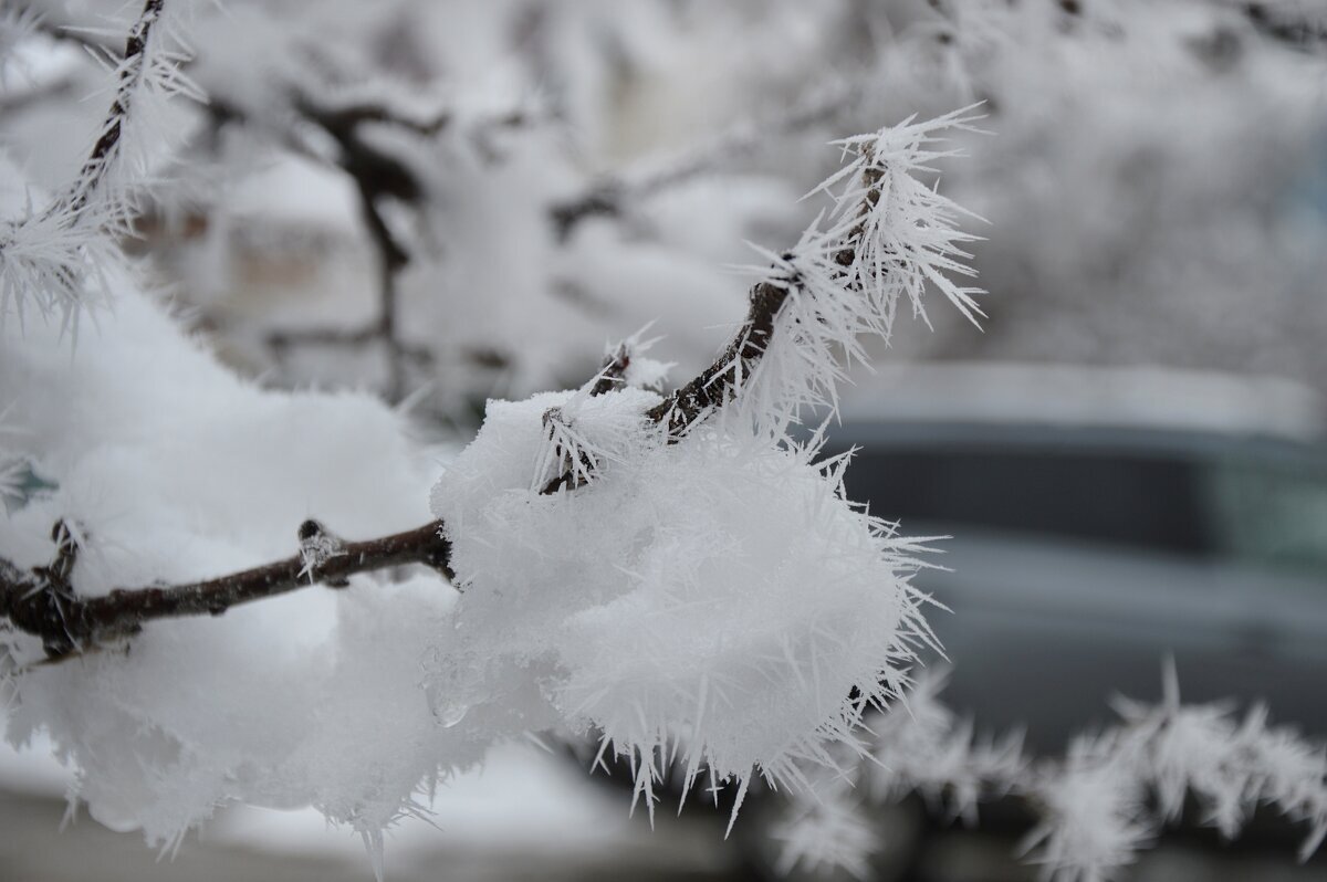 Поиграла Зимушка в снежки... - Надежда Куркина Поиграла Зимушка в снежки... - Надежда Куркина