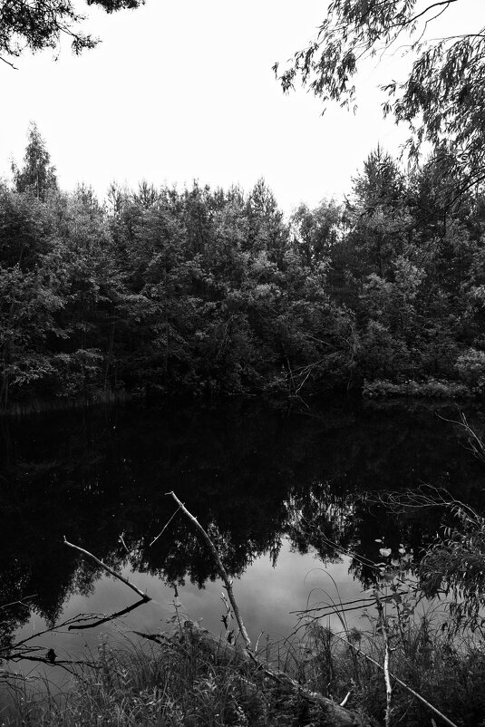 Фотография - Денис Безногов