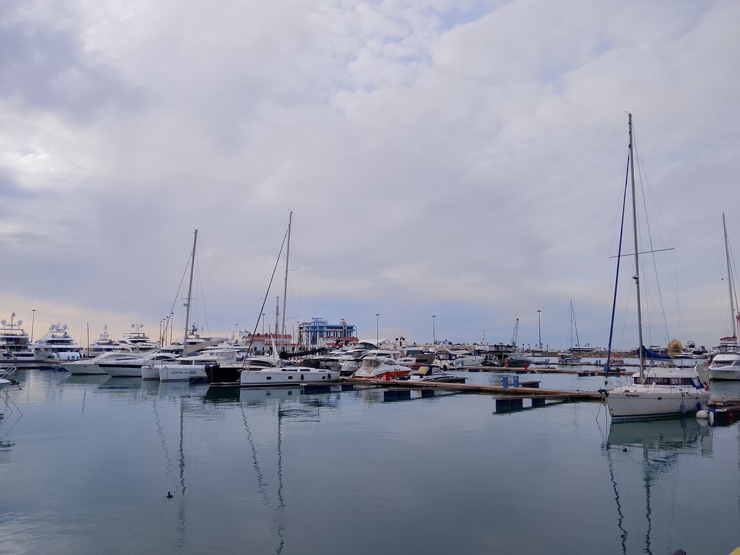 Порт Сочи - Tata Wolf