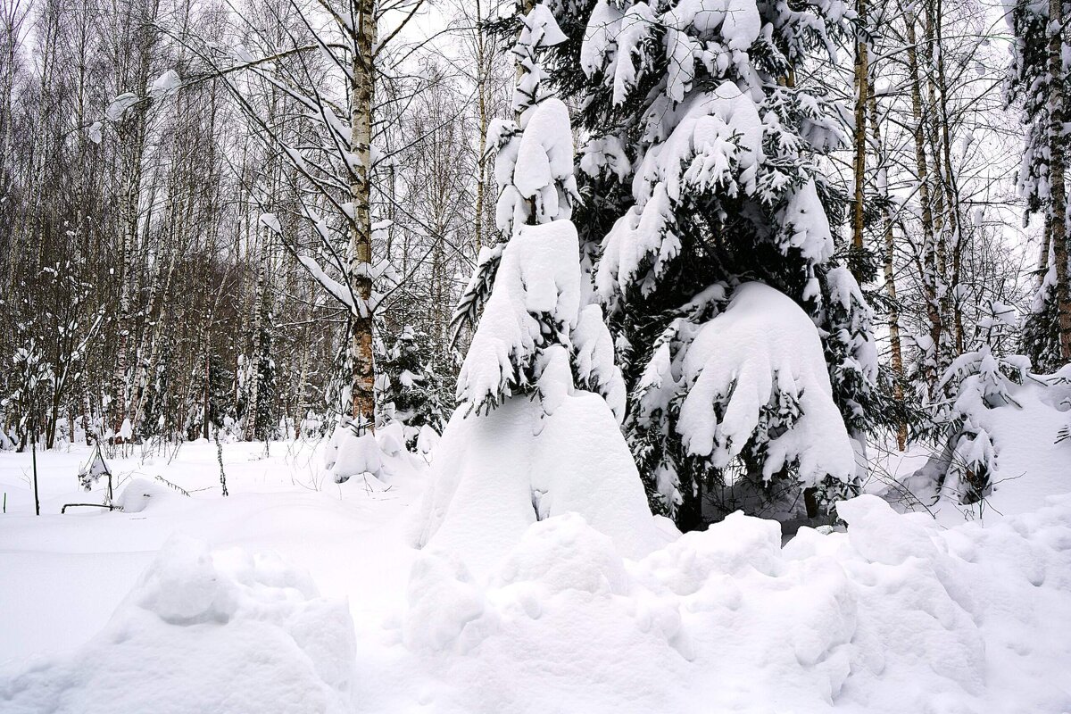 Зима за городом - Татьяна Тюменка