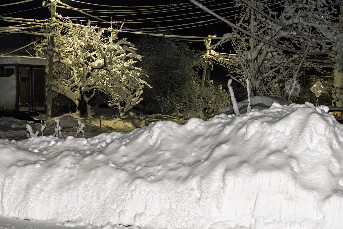 Завалило снегом - Игорь Сикорский