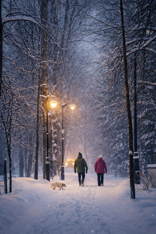Зимняя прогулка - Дмитрий Колесников