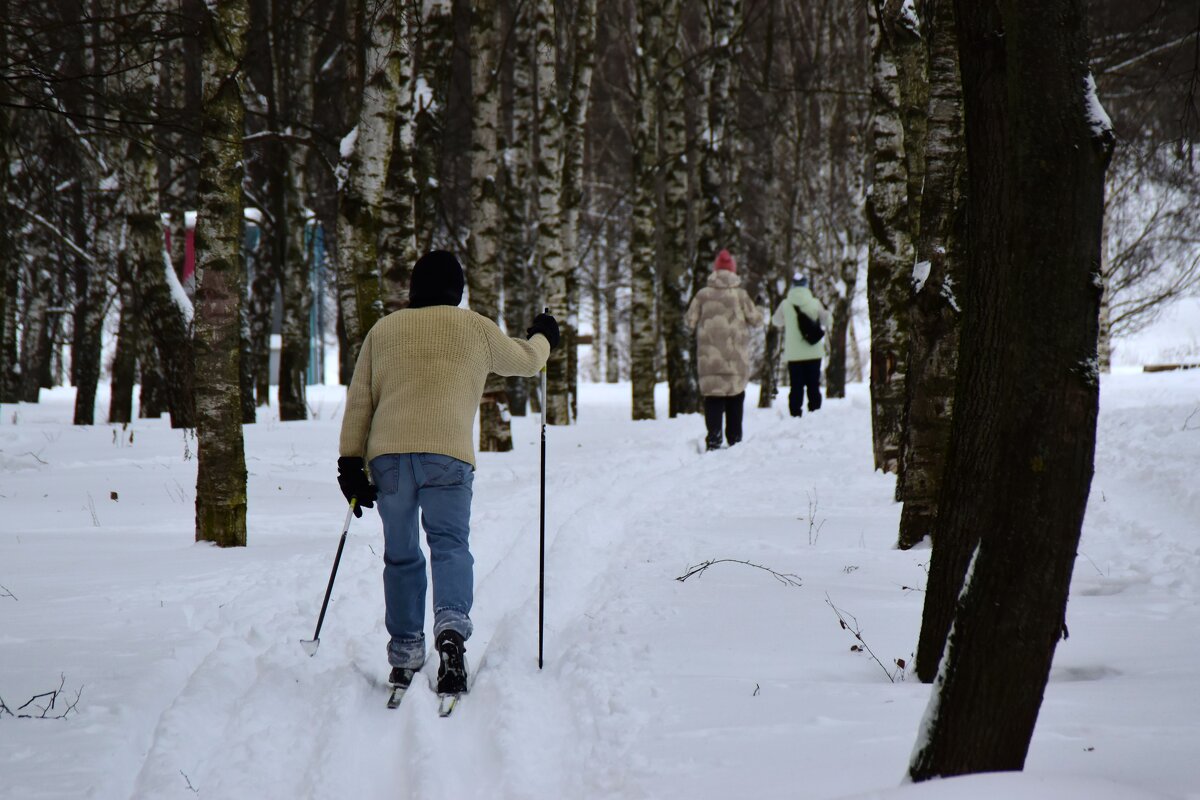 Активный отдых в парке. - Наталья Вязигина Активный отдых в парке. - Наталья Вязигина