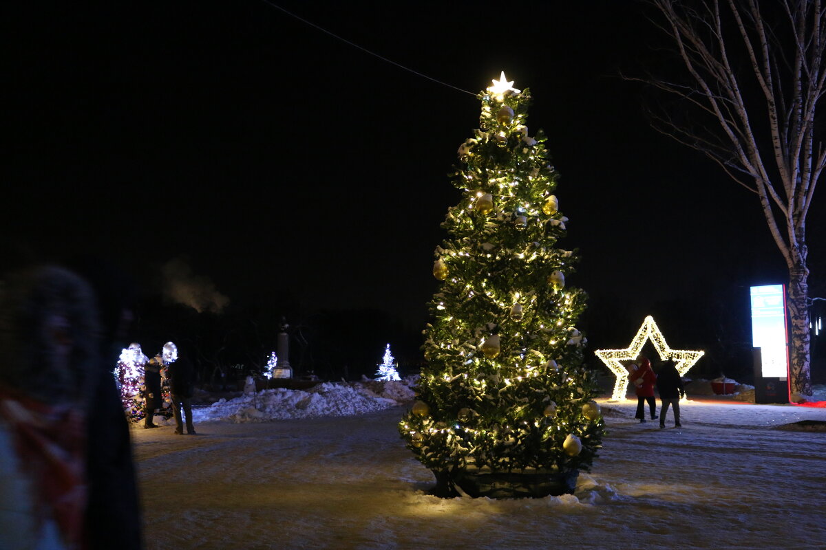 Ёлка в парке "Патриот" - Ольга 