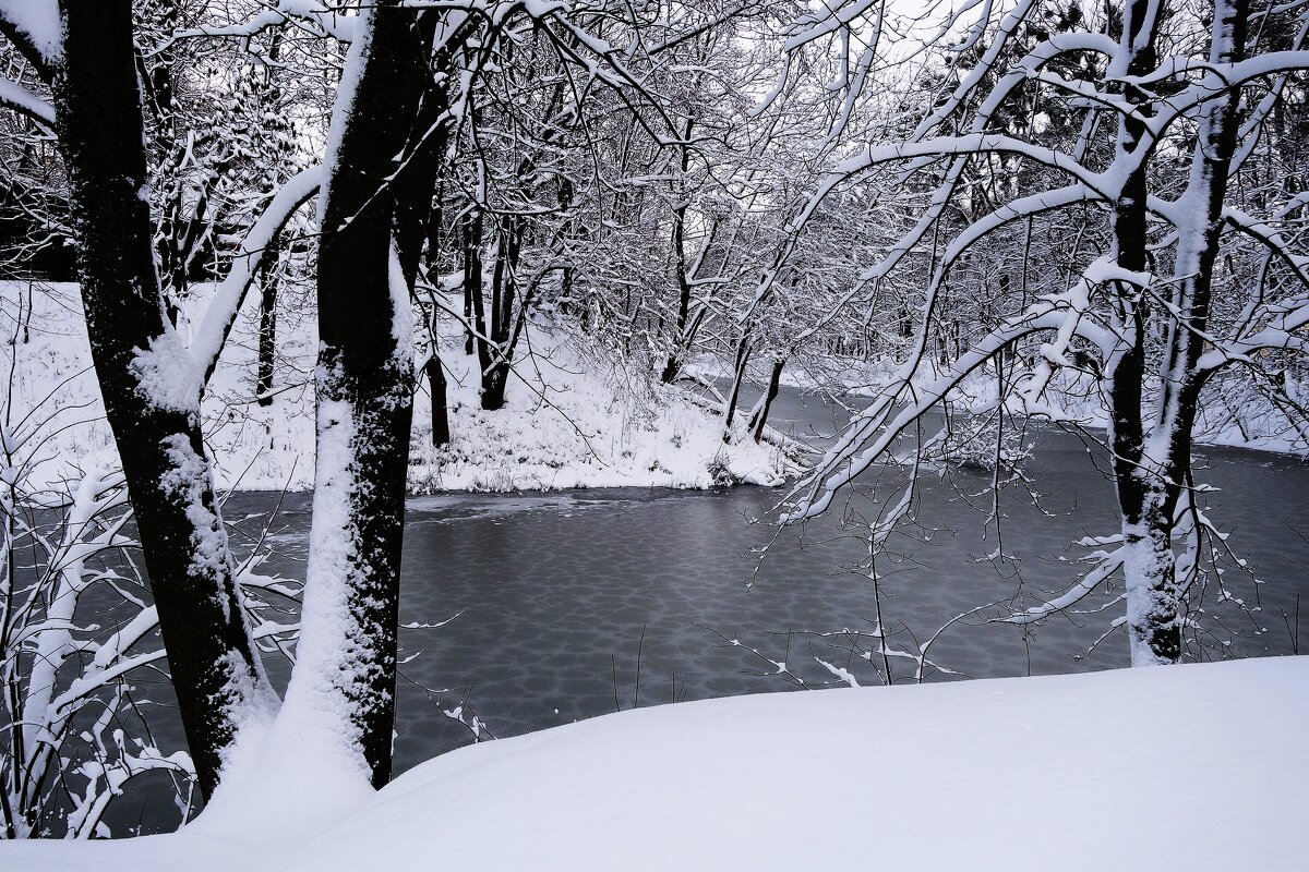 Парк Южный, Калининград - Рита Симонова