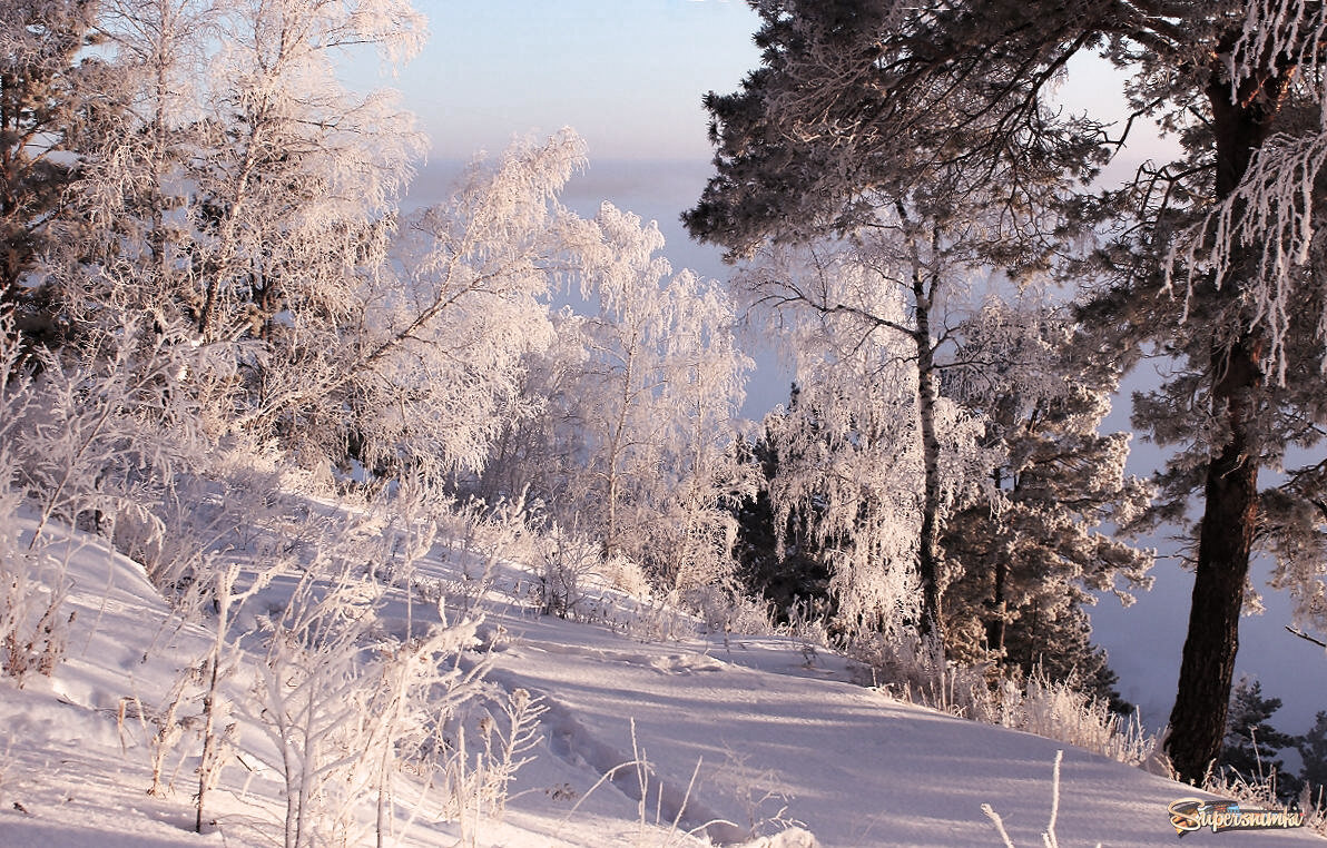 Берег Оби - елена беликова