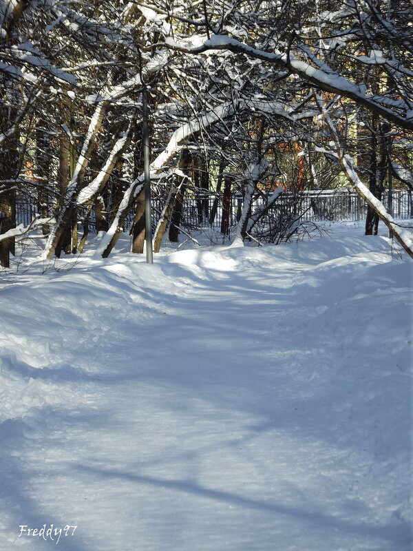 В парке... - Freddy 97 В парке... - Freddy 97