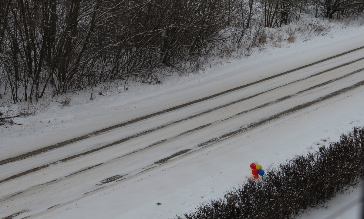 Дирижабли грите? ну, ну.... - Елена Минина
