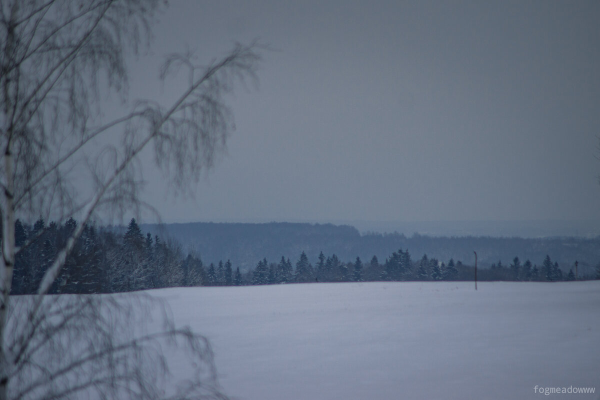 Лесная тишина - fogmeadowww m