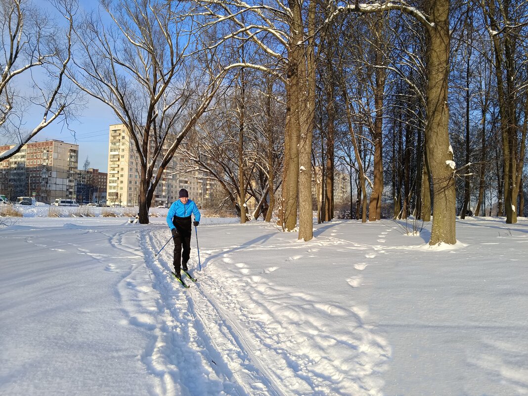 По накатанной лыжне - Мария Васильева