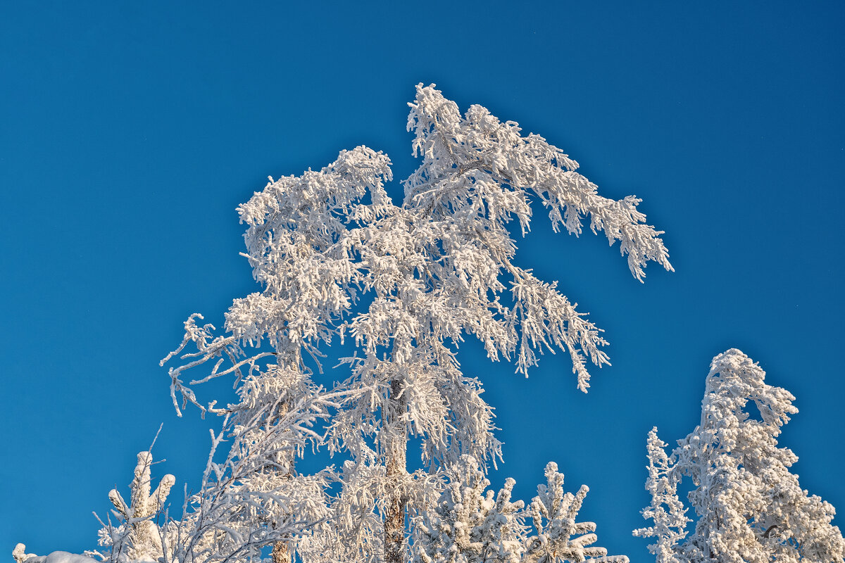 ****** - Вячеслав Овчинников