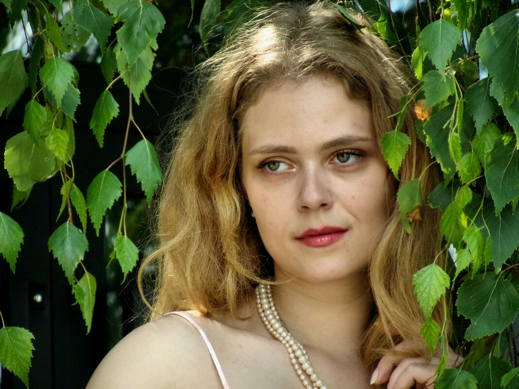 Среди листвы - Александр Одношевный