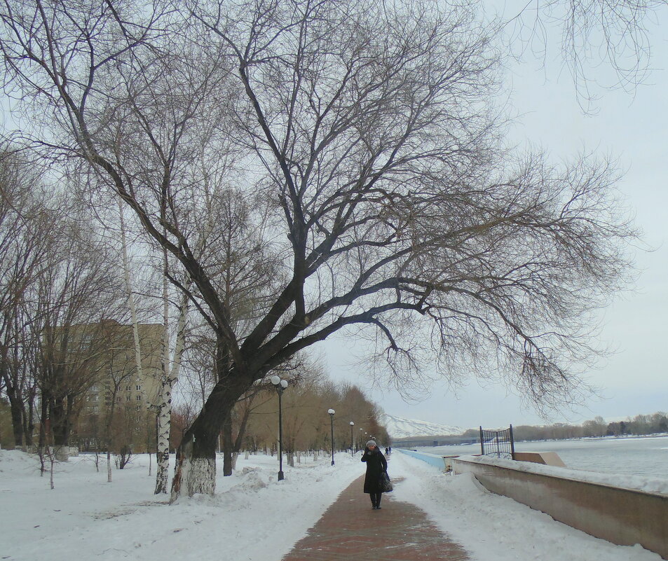 Однажды в Казахстане . Набережная Ульбы . - Мила Бовкун Однажды в Казахстане . Набережная Ульбы . - Мила Бовкун