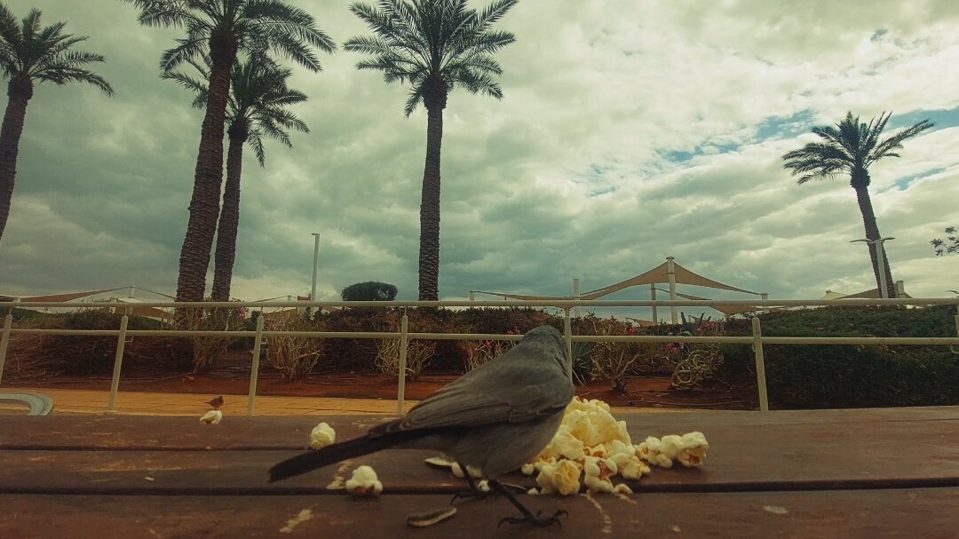 13  ОПЕН (814) - OPEN WAYS ALL