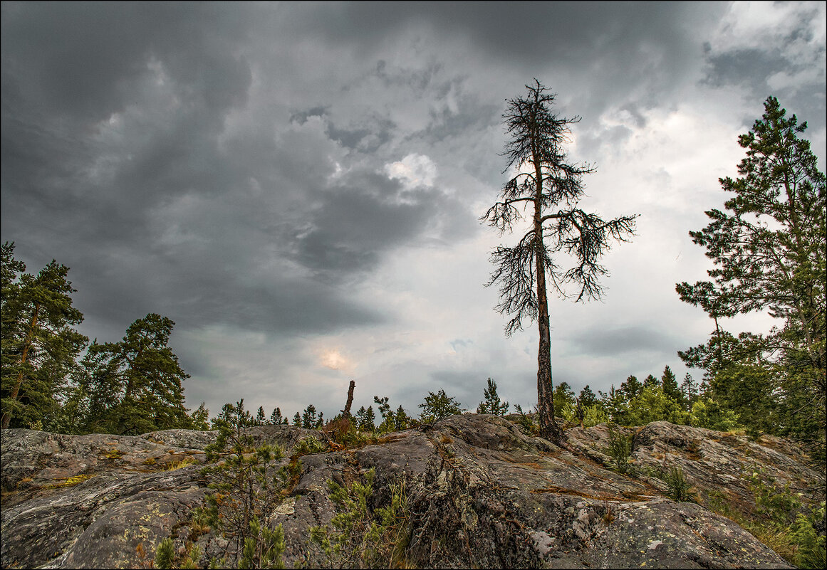 *  *  * - Андрей Бобин