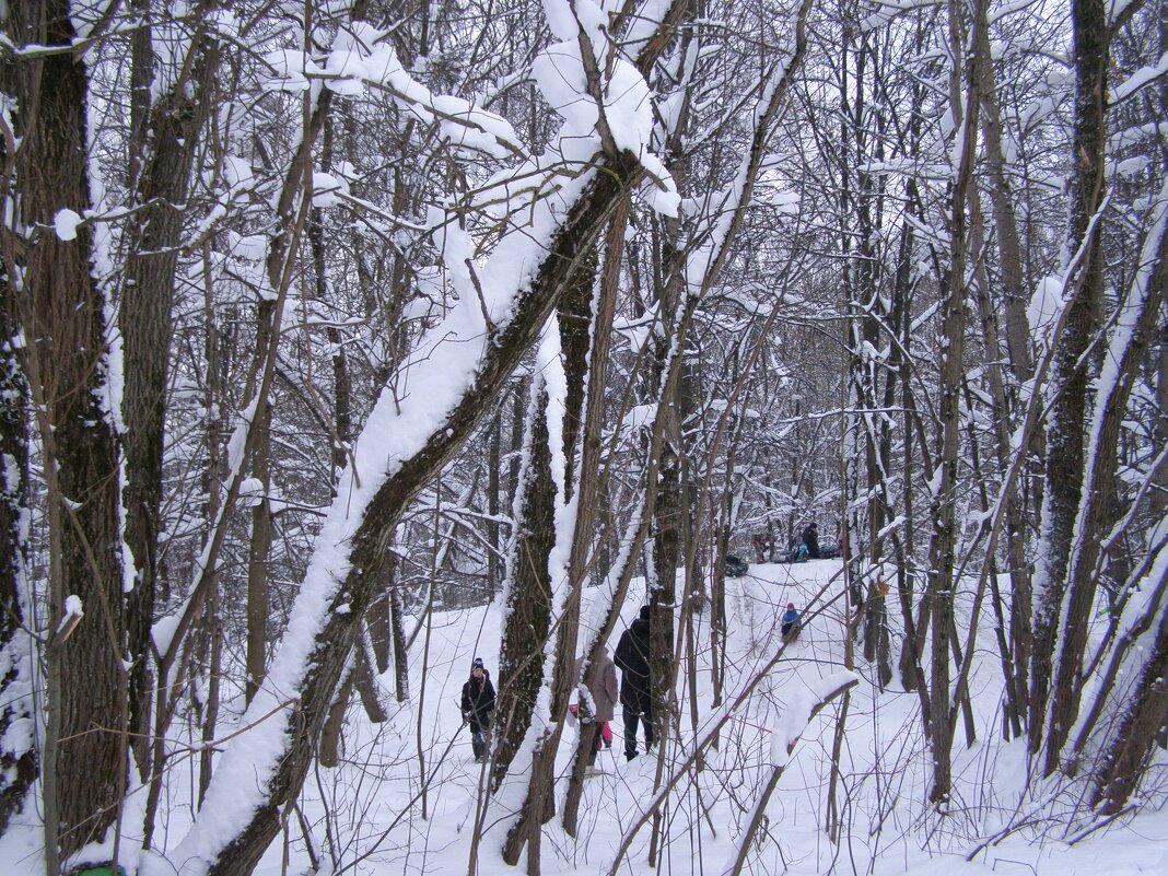 Все на горку! - Анна Воробьева