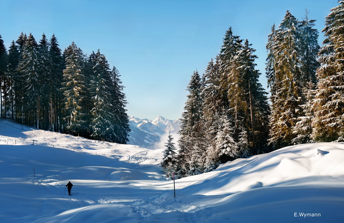 winter view - Elena Wymann