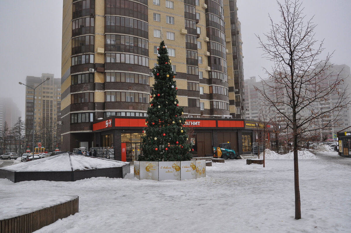 Ждать уже недолго, скоро разберут все ёлки... - Татьяна Машошина