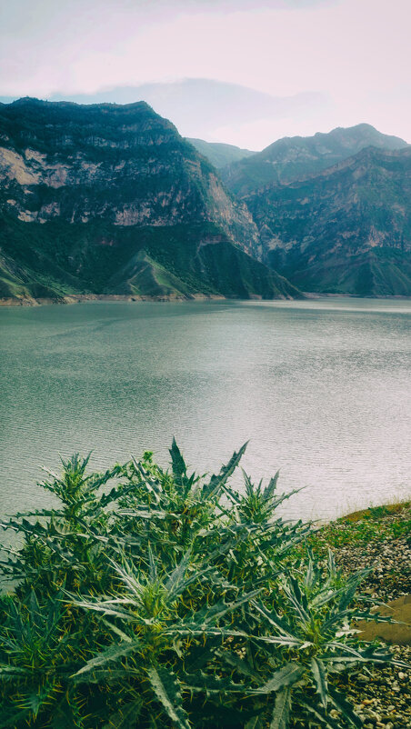 Горное озеро - Татьяна Маркова