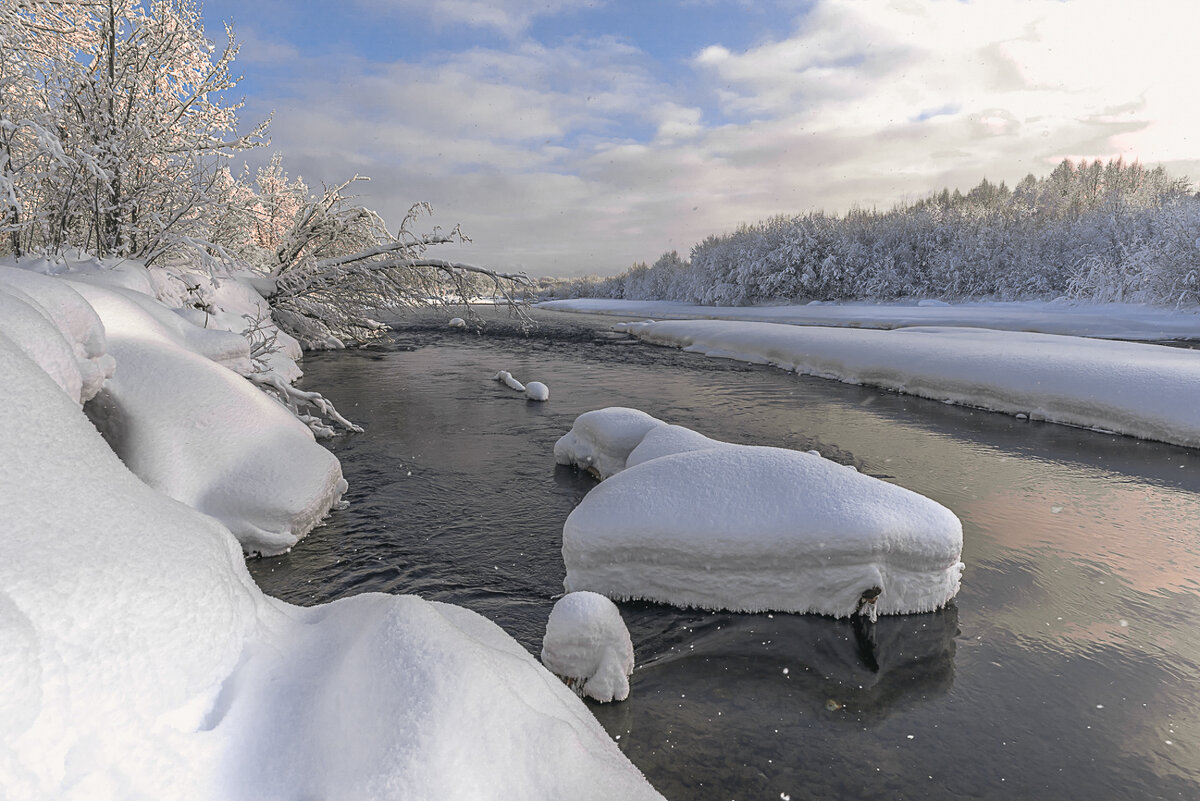 ... - Жора Житников
