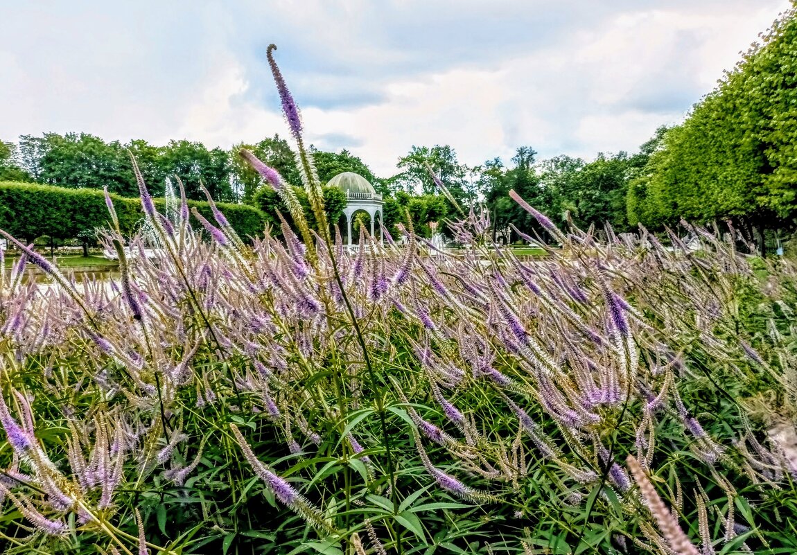 В парке Кадриорг - Veera V В парке Кадриорг - Veera V