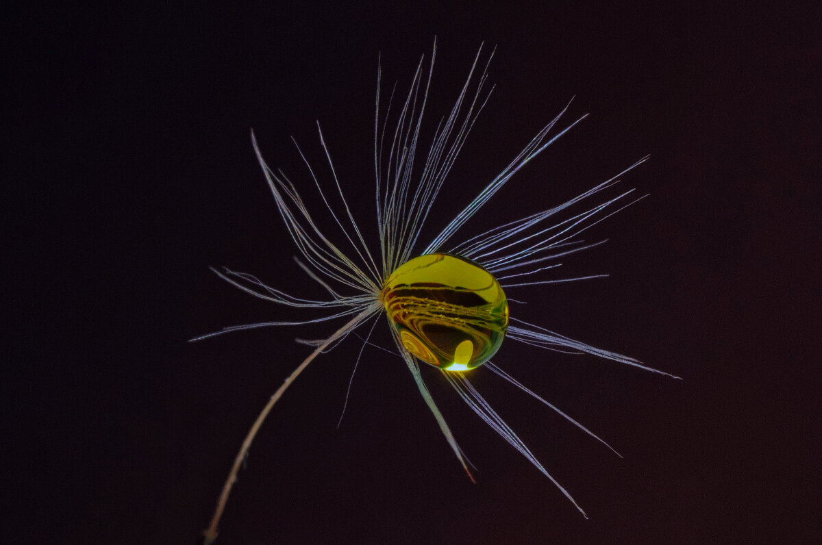 *** - Виктор Иванович Чернюк