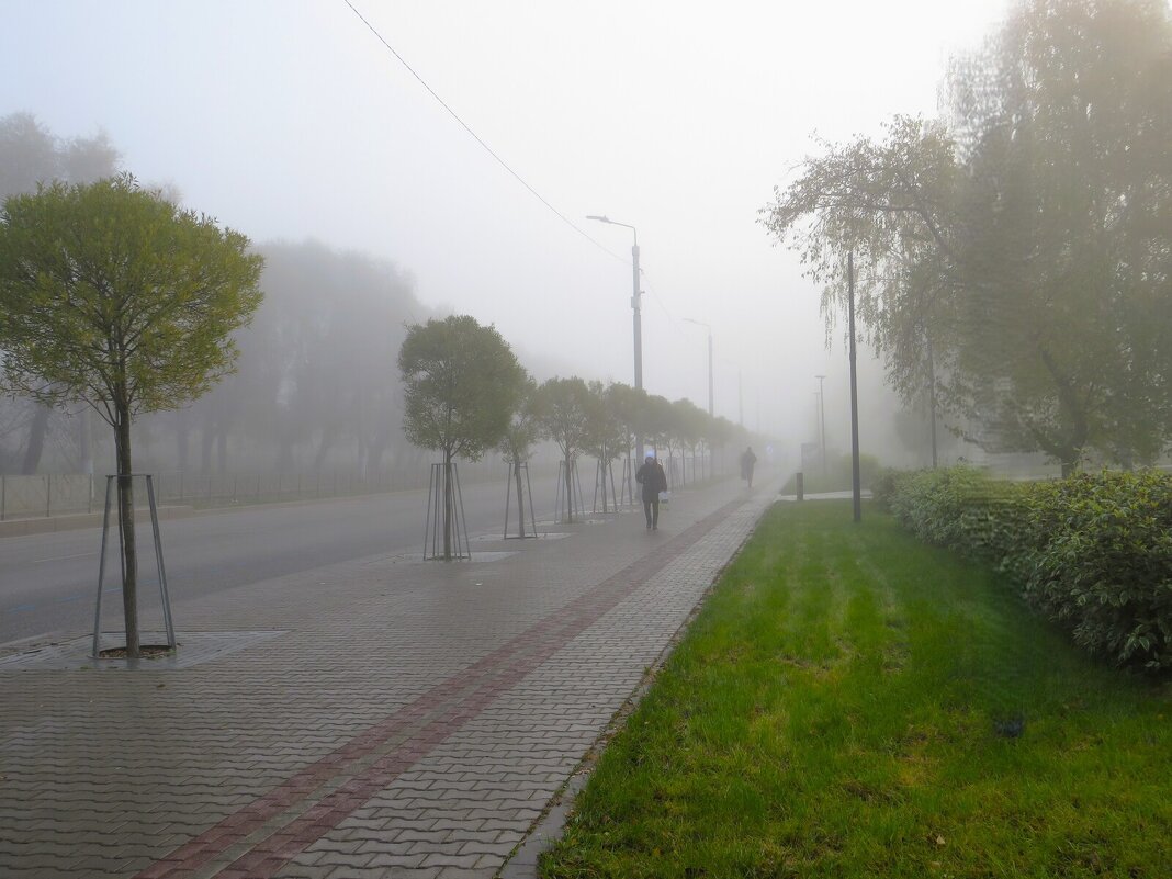 Туманное утро - Лариса С.