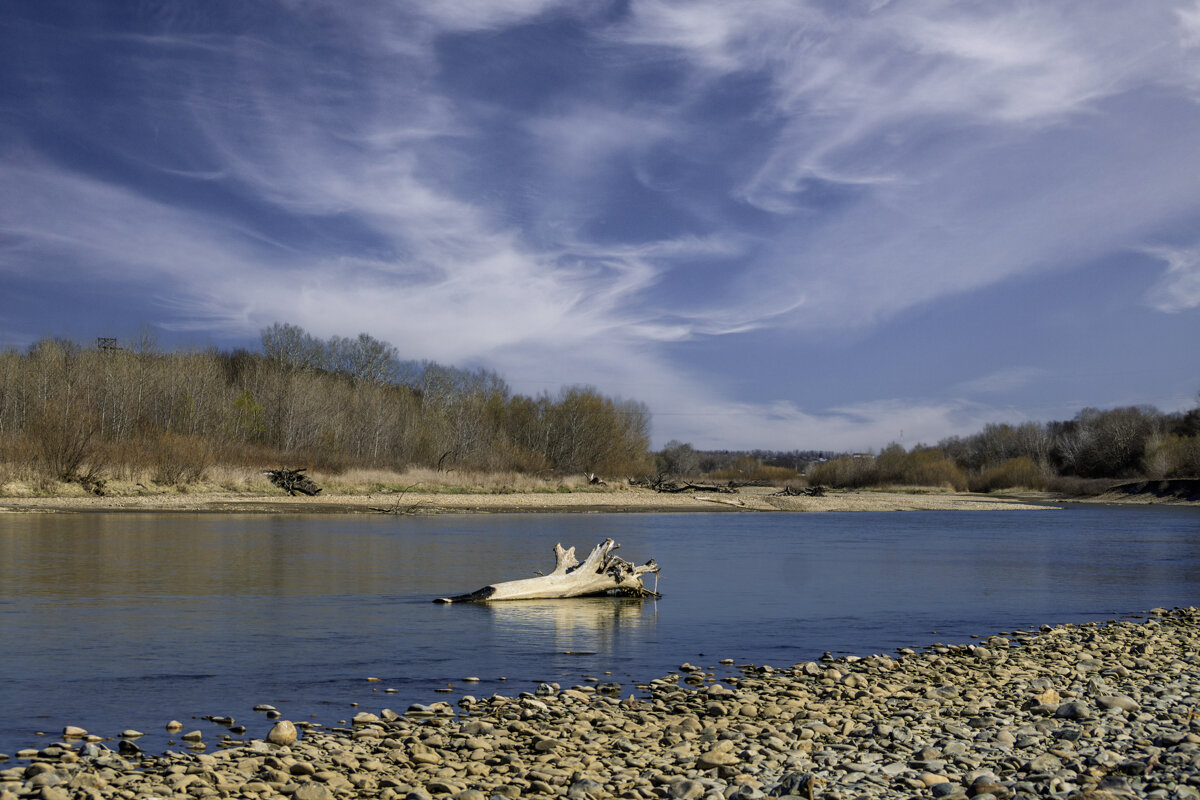 Река Кубань - Игорь Сикорский