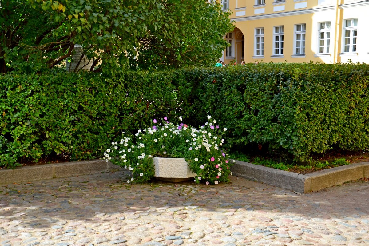 МУЗЕЙ ПУШКИНА НА МОЙКЕ. - Виктор Осипчук МУЗЕЙ ПУШКИНА НА МОЙКЕ. - Виктор Осипчук