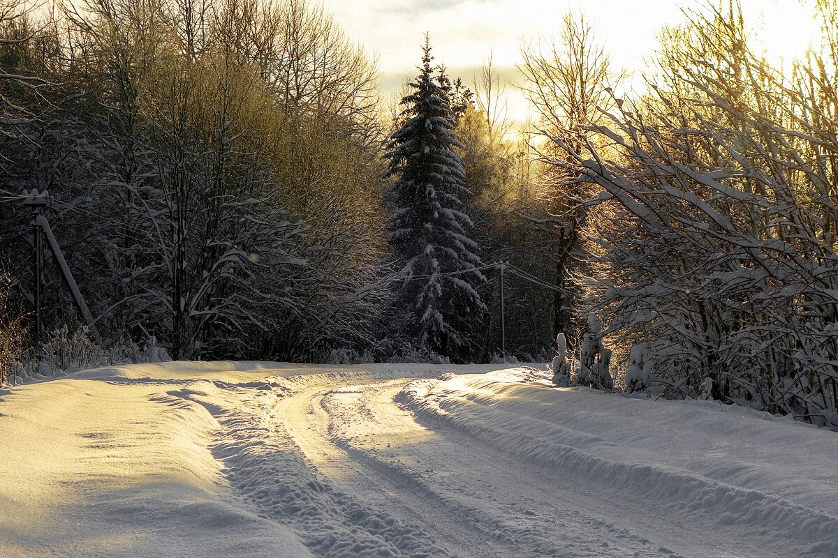 зимнее утро... - Владимир Матва