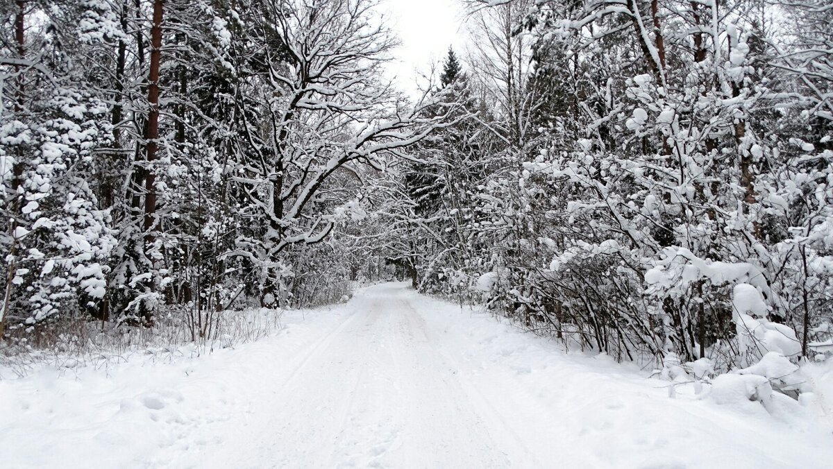 Про смоленскую зиму. - Милешкин Владимир Алексеевич 