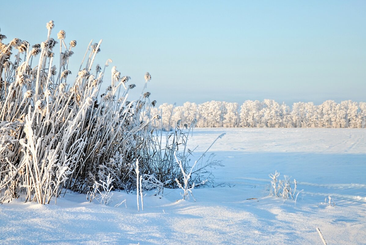 Зима. - Владимир 