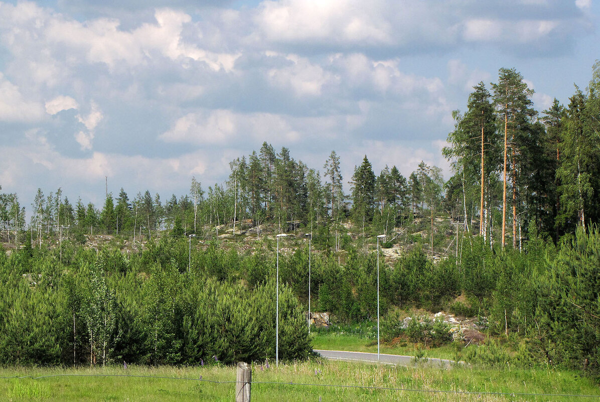 Пейзаж возле Hesburger (Хесбургер) - Александр Ильчевский Пейзаж возле Hesburger (Хесбургер) - Александр Ильчевский