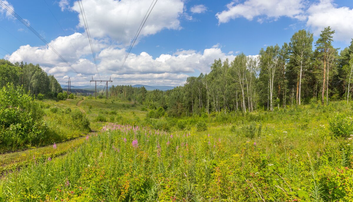 Лето. Прогулка по ЛЭП. - Алексей Трухин Лето. Прогулка по ЛЭП. - Алексей Трухин