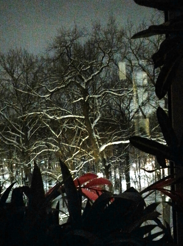 *** - Валентина Береснева