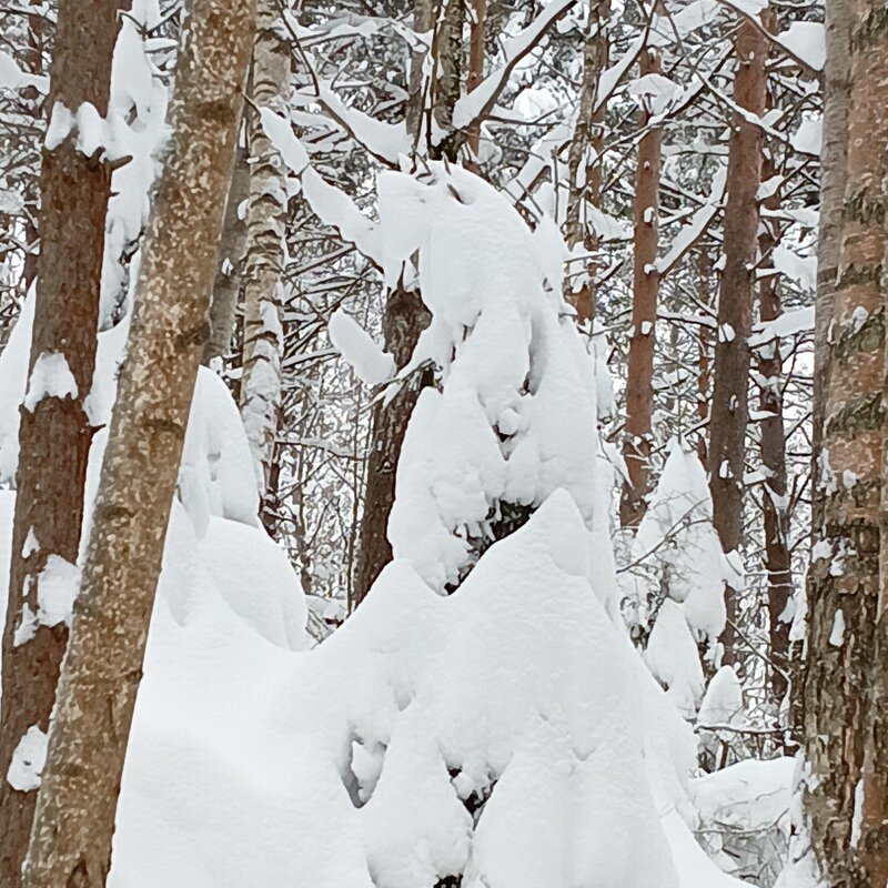 оратор - Владимир 