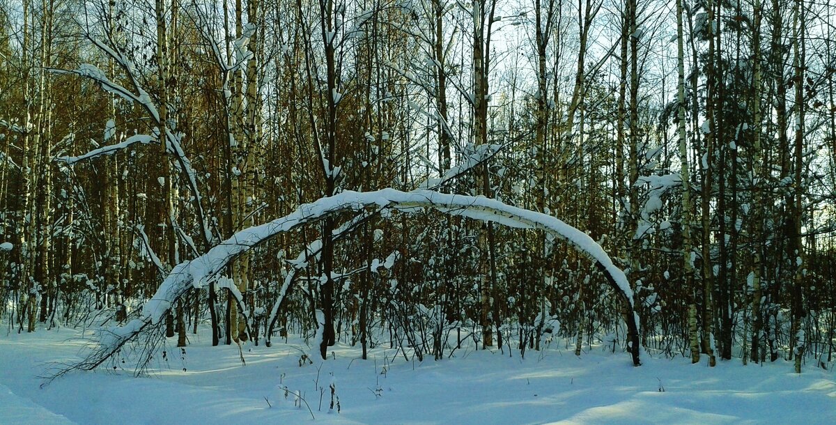 пейзаж - Владимир 