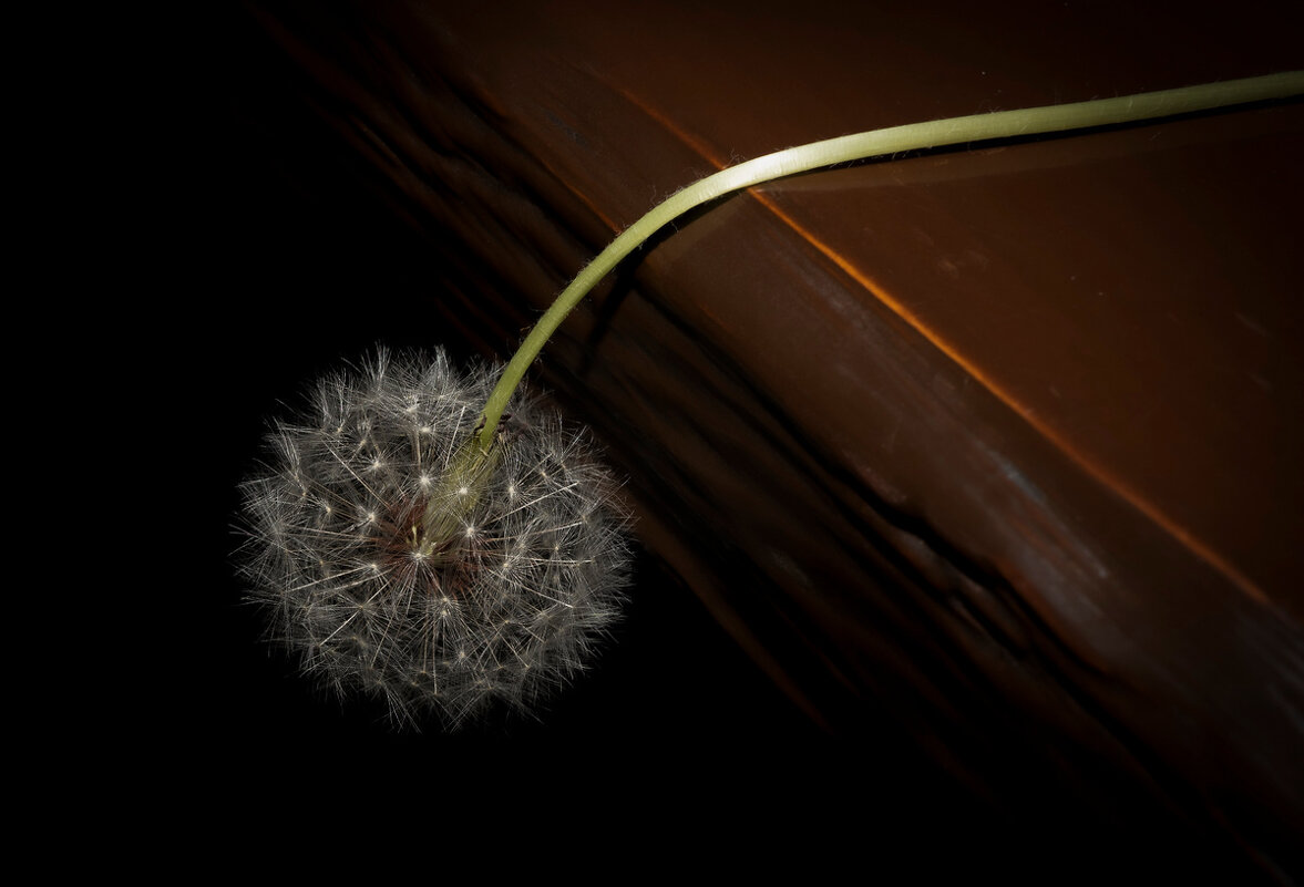 грусть - Aleksandr 