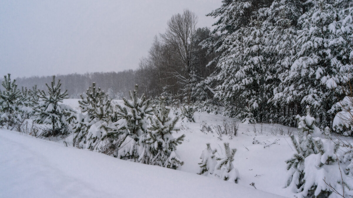 Снег всё идёт - sorovey Sol