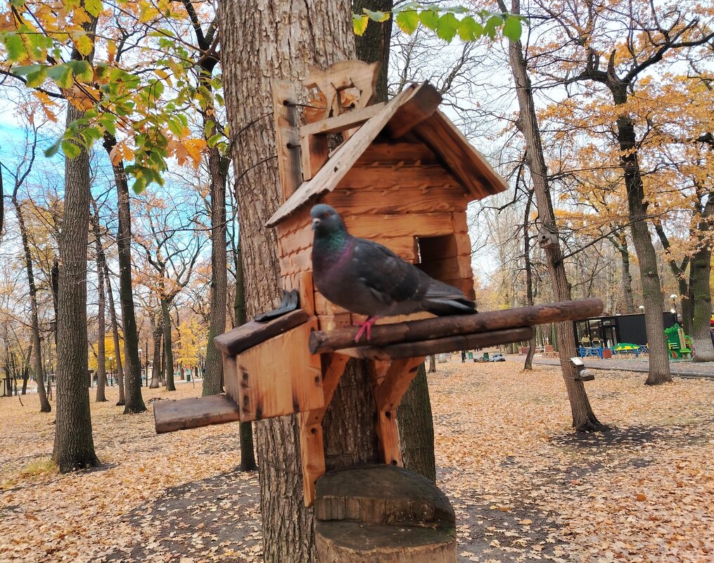 Кормушка для птиц - Надежда Кормушка для птиц - Надежда
