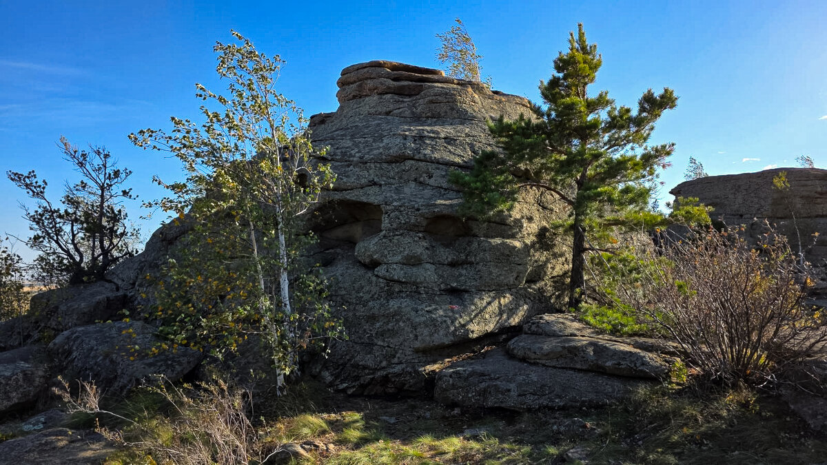 вечный взгляд - Ольга Косачова