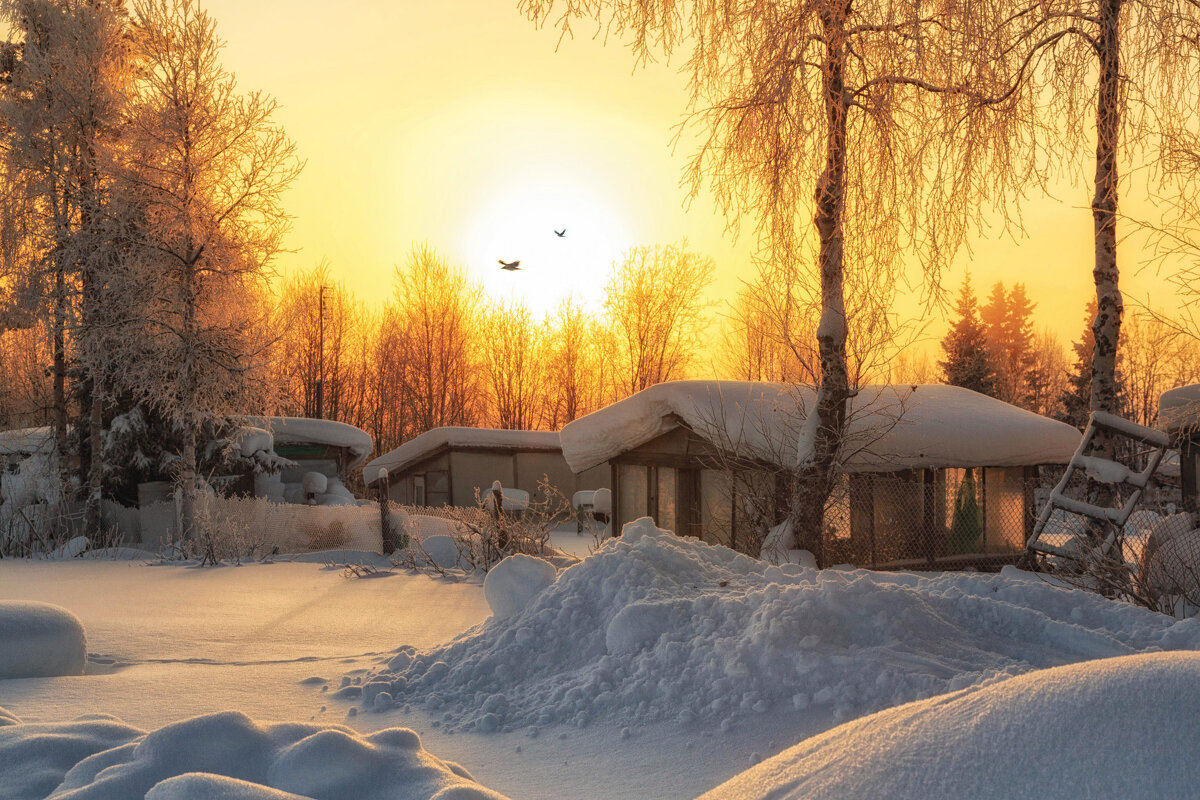 Заполярная дача 5 - Владимир Чикота Заполярная дача 5 - Владимир Чикота