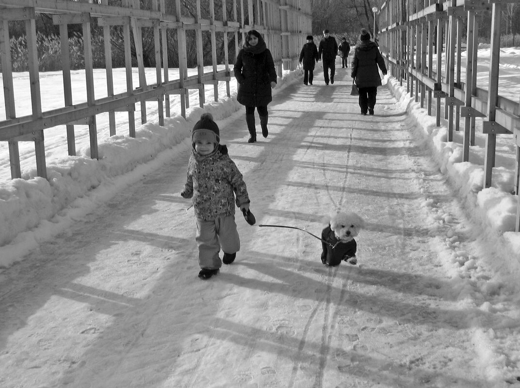 Друзья...зима... - Борис Бутцев