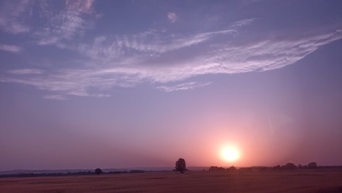 **** - Екатерина Леш